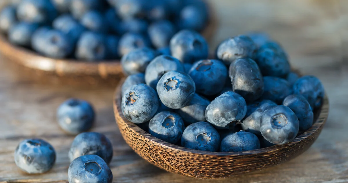 Blaubeeren Ein Superfood voller Gesundheit
