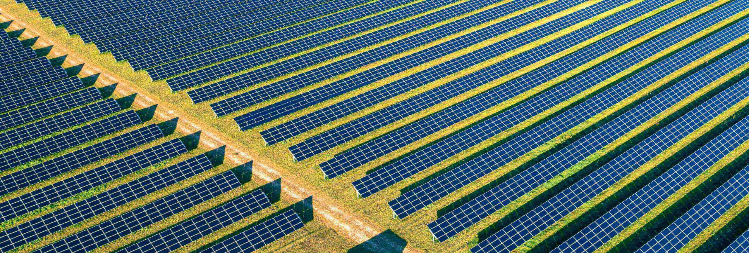 Die Zukunft der erneuerbaren Energien in Deutschland: Herausforderungen und Chancen